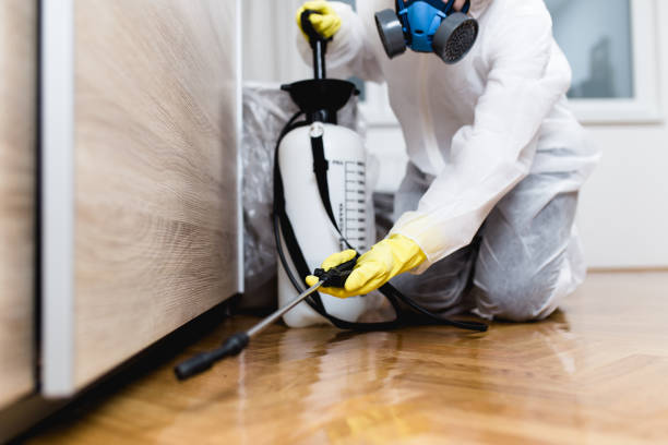 Best Insect Control  in Chapel Hill, NC