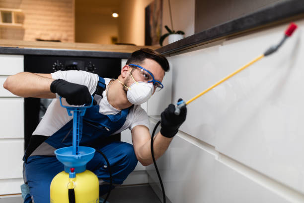 Best Emergency Pest Control  in Chapel Hill, NC