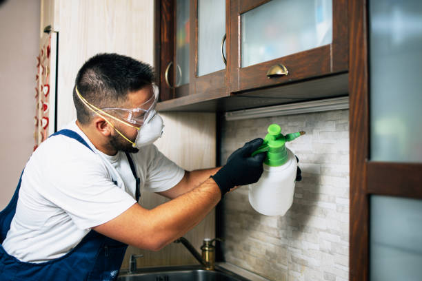 Best Ant Control Services  in Chapel Hill, NC