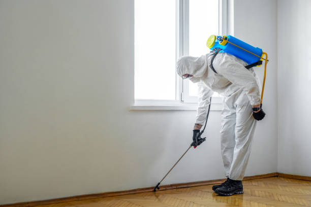 Best Pest Removal Services  in Chapel Hill, NC
