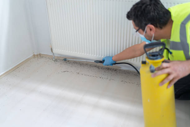 Best Commercial Pest Control Services  in Chapel Hill, NC